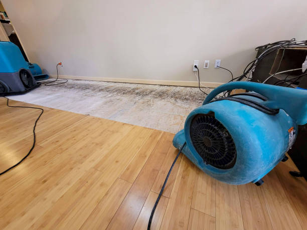 Professional Water Removal technician working in Thousand Palms, CA